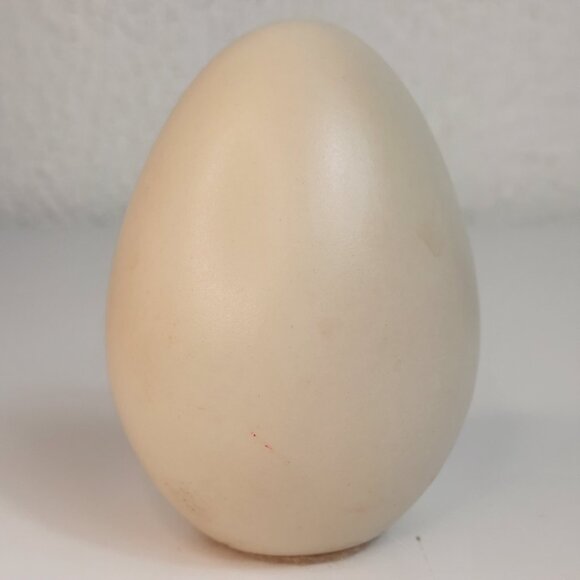 Painted Boxer Dog 3" Ceramic Egg Collectible "Eggzakly" Selah, WA USA MADE - Picture 4 of 4